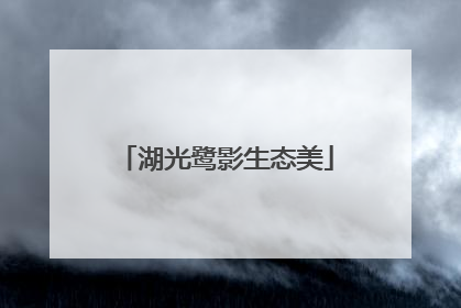 湖光鹭影生态美