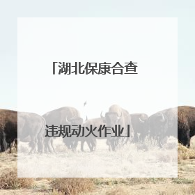 湖北保康合查违规动火作业