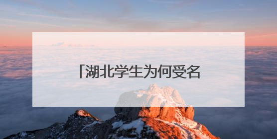 湖北学生为何受名校青睐？答案在这场咨询会（组图）