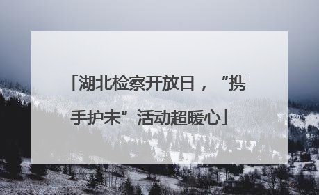 湖北检察开放日，“携手护未”活动超暖心