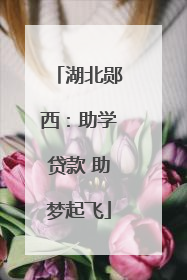 湖北郧西：助学贷款 助梦起飞
