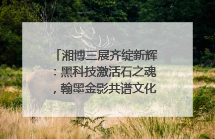 湘博三展齐绽新辉：黑科技激活石之魂，翰墨金影共谱文化遗产日华章