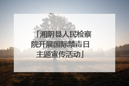 湘阴县人民检察院开展国际禁毒日主题宣传活动