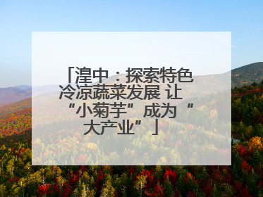 湟中：探索特色冷凉蔬菜发展 让“小菊芋”成为“大产业”