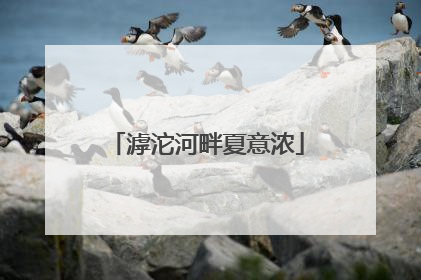 滹沱河畔夏意浓