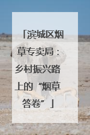 滨城区烟草专卖局：乡村振兴路上的“烟草答卷”