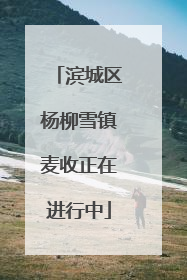 滨城区杨柳雪镇麦收正在进行中