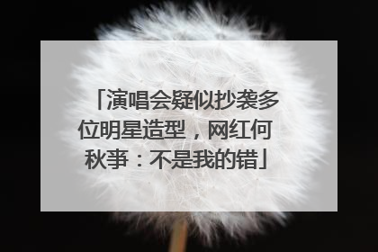 演唱会疑似抄袭多位明星造型，网红何秋亊：不是我的错