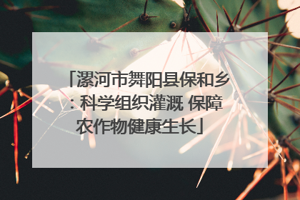 漯河市舞阳县保和乡：科学组织灌溉 保障农作物健康生长