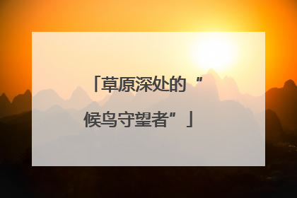 草原深处的“候鸟守望者”