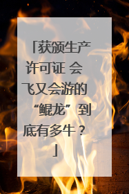 获颁生产许可证 会飞又会游的“鲲龙”到底有多牛？