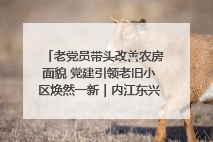 老党员带头改善农房面貌 党建引领老旧小区焕然一新｜内江东兴“红”在哪？④