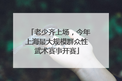 老少齐上场，今年上海最大规模群众性武术赛事开赛