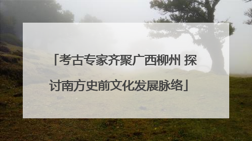 考古专家齐聚广西柳州 探讨南方史前文化发展脉络