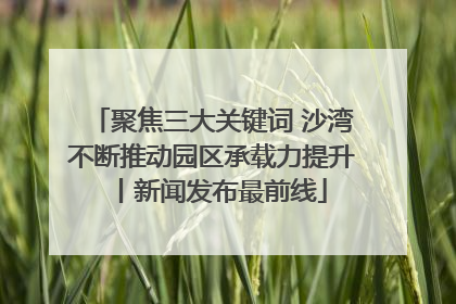聚焦三大关键词 沙湾不断推动园区承载力提升丨新闻发布最前线