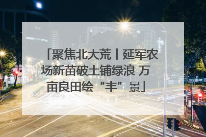 聚焦北大荒丨延军农场新苗破土铺绿浪 万亩良田绘“丰”景