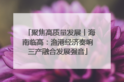 聚焦高质量发展丨海南临高：渔港经济奏响三产融合发展强音