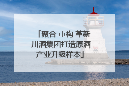 聚合 重构 革新 川酒集团打造原酒产业升级样本