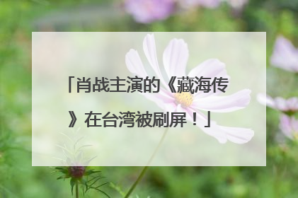 肖战主演的《藏海传》在台湾被刷屏！