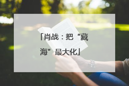 肖战：把“藏海”最大化