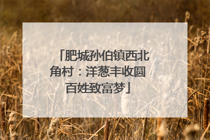 肥城孙伯镇西北角村：洋葱丰收圆百姓致富梦