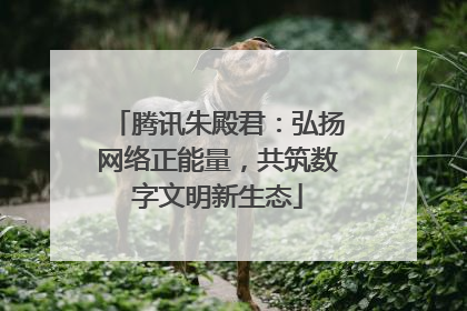 腾讯朱殿君：弘扬网络正能量，共筑数字文明新生态
