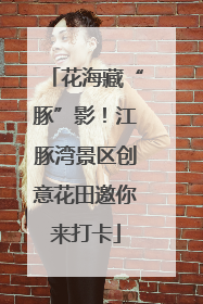 花海藏“豚”影！江豚湾景区创意花田邀你来打卡