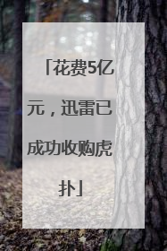 花费5亿元，迅雷已成功收购虎扑