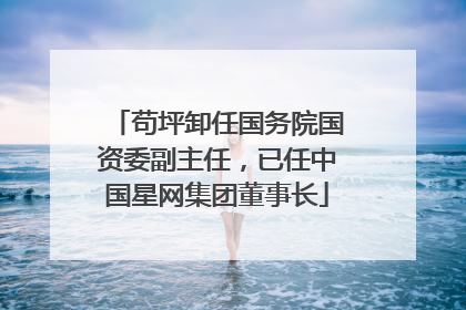 苟坪卸任国务院国资委副主任，已任中国星网集团董事长