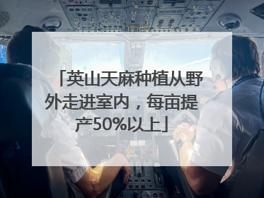 英山天麻种植从野外走进室内，每亩提产50%以上