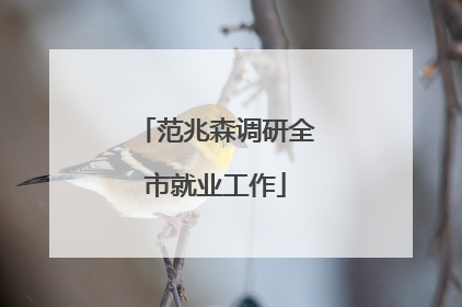 范兆森调研全市就业工作