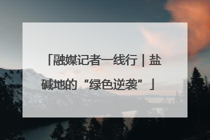 融媒记者一线行｜盐碱地的“绿色逆袭”