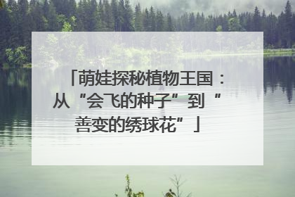 萌娃探秘植物王国：从“会飞的种子”到“善变的绣球花”