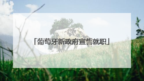 葡萄牙新政府宣誓就职