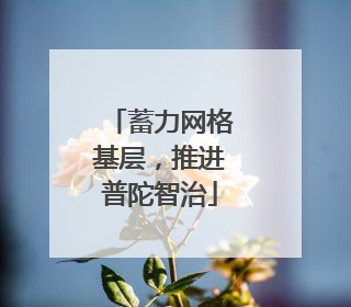 蓄力网格基层，推进普陀智治