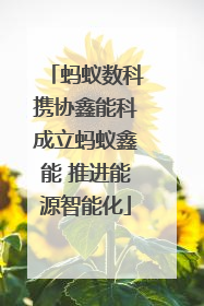 蚂蚁数科携协鑫能科成立蚂蚁鑫能 推进能源智能化