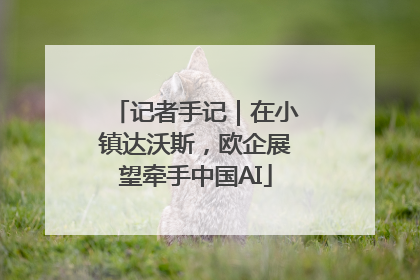 记者手记｜在小镇达沃斯，欧企展望牵手中国AI