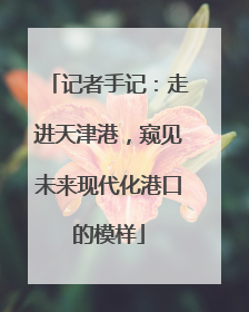记者手记：走进天津港，窥见未来现代化港口的模样