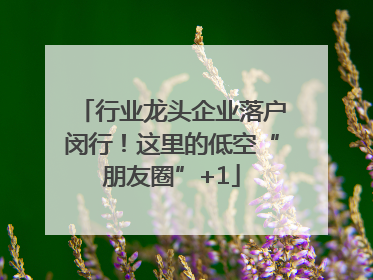 行业龙头企业落户闵行！这里的低空“朋友圈”+1