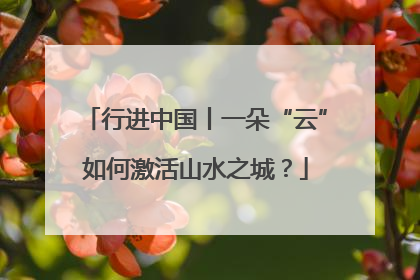 行进中国丨一朵“云”如何激活山水之城？