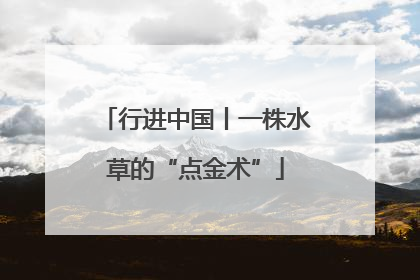 行进中国丨一株水草的“点金术”