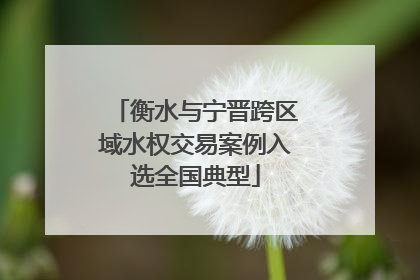 衡水与宁晋跨区域水权交易案例入选全国典型