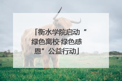 衡水学院启动“绿色离校·绿色感恩”公益行动