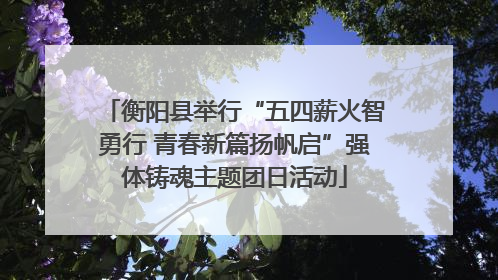 衡阳县举行“五四薪火智勇行 青春新篇扬帆启”强体铸魂主题团日活动