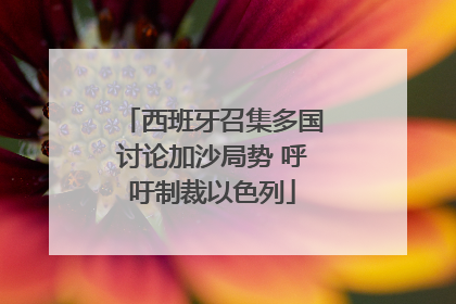 西班牙召集多国讨论加沙局势 呼吁制裁以色列
