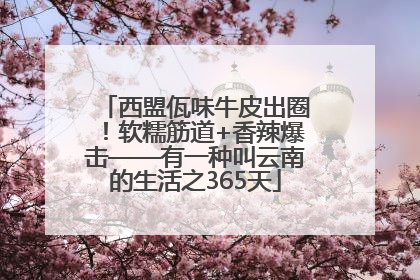 西盟佤味牛皮出圈！软糯筋道+香辣爆击——有一种叫云南的生活之365天