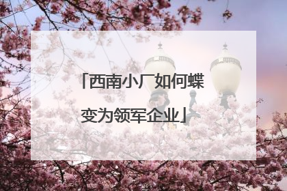 西南小厂如何蝶变为领军企业