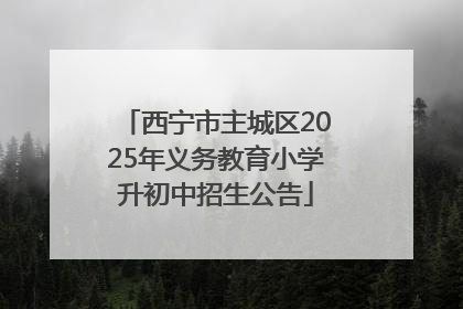 西宁市主城区2025年义务教育小学升初中招生公告