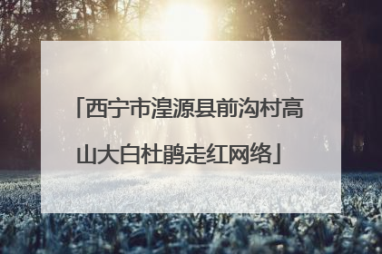 西宁市湟源县前沟村高山大白杜鹃走红网络