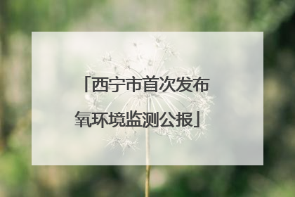 西宁市首次发布氧环境监测公报